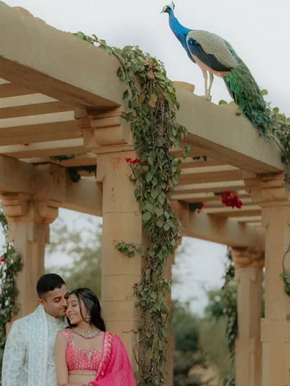 A close-up of the peacock moment. The composition, with the peacock perfectly perched above the couple, feels like a scene orchestrated by nature itself.