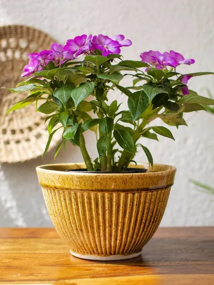 The Soleil planter is perfect for adding a pop of color to your living room. Here it is with a flowering plant, creating a bright and cheerful vignette.