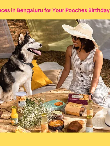 Looking for a place to host your dog's birthday bash in Bengaluru? This post highlights five amazing pet-friendly venues where you can throw an unforgettable party with our treats.