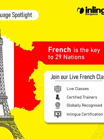 French is an official language in 29 countries, making it a key to global communication. This graphic highlights the vast opportunities that open up when you learn French.