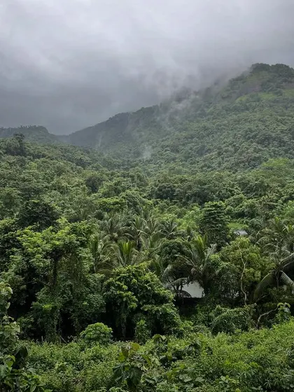 A new site, and the beginning of a new design conversation with the landscape. This view of a dense, misty forest in Maharashtra is the starting point for a home that will be born from this very environment.