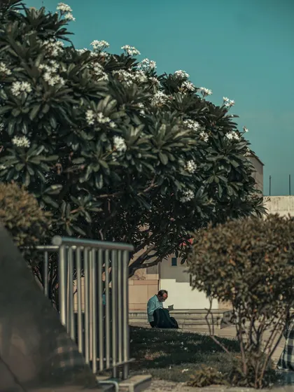 A quiet moment of a man sitting under a flowering tree. The contrast between the solitary figure and the lush nature in an urban setting caught my eye.