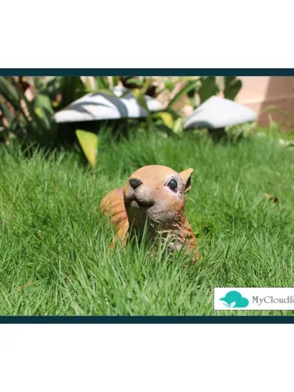 I love adding whimsical details to a garden. A small, playful statue like this squirrel peeking out from the grass can bring a sense of joy and surprise to the landscape.