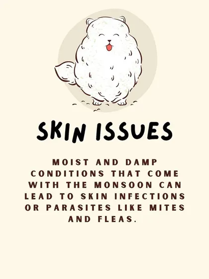 The damp conditions of monsoon can lead to skin infections or parasites like mites and fleas, which can be another reason for increased shedding.