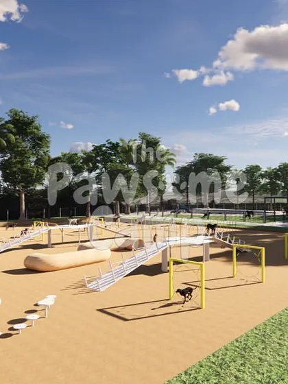 A detailed look at the state-of-the-art agility course we planned, with equipment for dogs of all sizes and skill levels.
