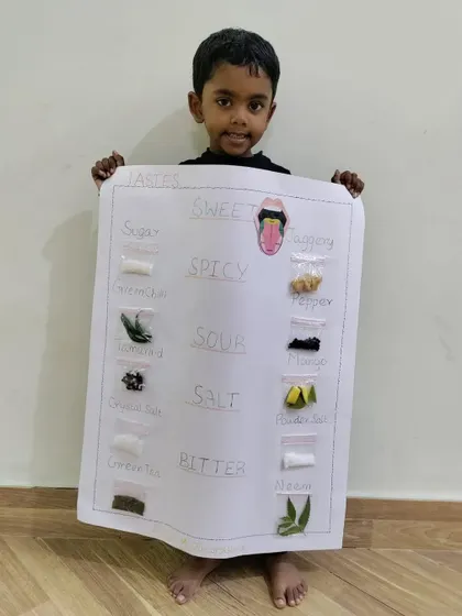 Another creative 'Types of Taste' chart made by one of our students, showing different examples for each taste category.