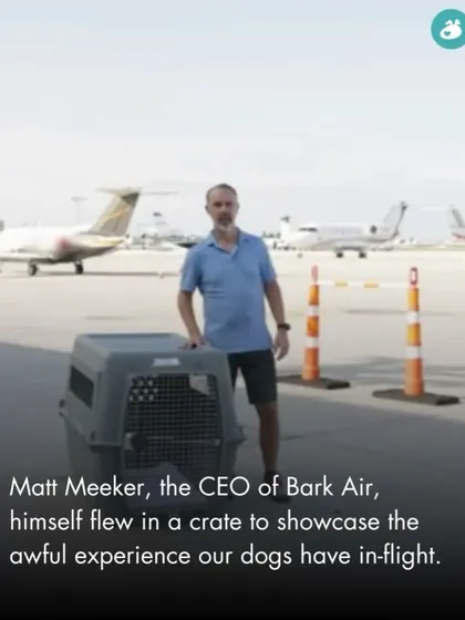 To highlight the awful in-flight experience for dogs, the CEO of Bark Air, Matt Meeker, flew in a crate himself.