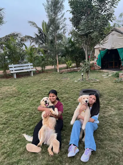 Two guests sit on the grass, each holding a happy Golden Retriever, one adult and one puppy.