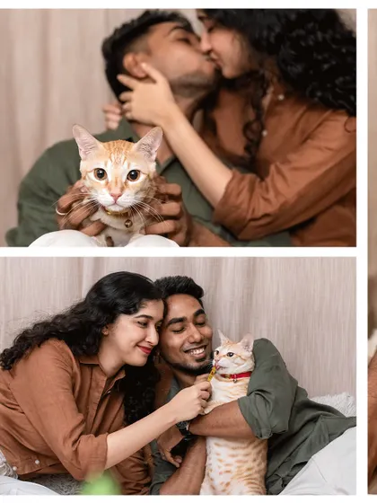 A collage from Toffee's viral engagement shoot. The love between this couple and their cat captured hearts around the world.