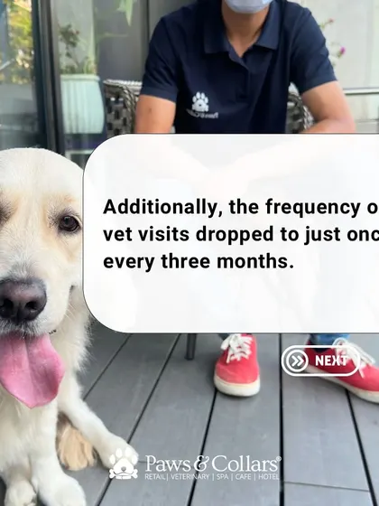 With her health stabilized, Eve's vet visits dropped to just once every three months, demonstrating the power of proper nutrition.