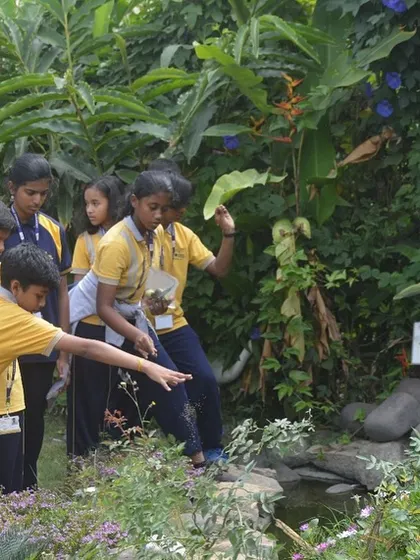 Discovering the life in and around our garden pond. Students get a closer look at the aquatic plants and the small creatures that call our water features home.