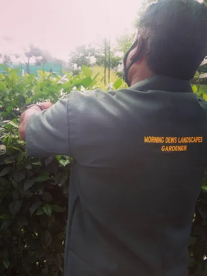 The back of our uniform clearly identifies our staff as a Morning Dews Landscapes Gardener. This ensures professionalism and security when we are working on your property.