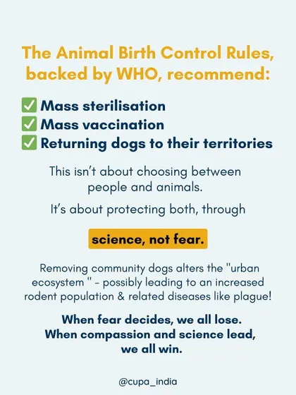 My advocacy is based on science, not fear. The WHO-backed Animal Birth Control Rules recommend mass sterilization and vaccination, not removal, as the effective solution.