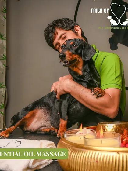 An essential oil massage provides deep relaxation for your pet. We use calming, pet-safe oils to create a truly therapeutic spa experience.