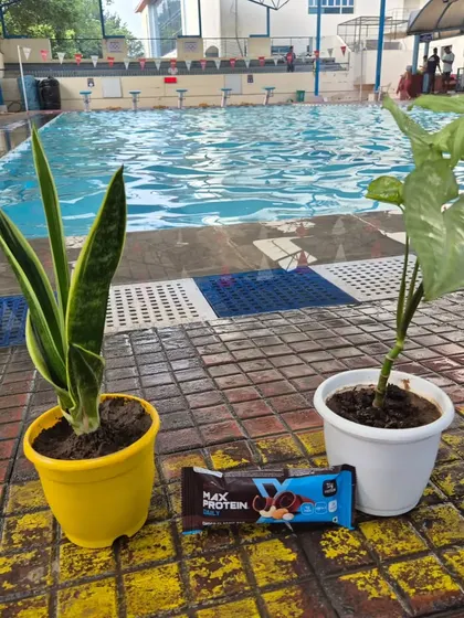 A beautiful start to Teacher's Day. The thoughtful gifts of plants and snacks from my swimmers and their parents mean the world to me. It's a reminder of our special bond.