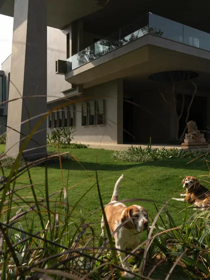 These images show the house as a living space, with glimpses of the pool, lawn, and even the family dogs, grounding the monumental architecture in everyday life.