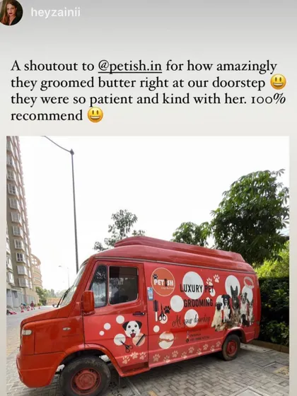 Another look at this wonderful recommendation. My mobile van makes it easy to provide amazing grooming right at your doorstep.