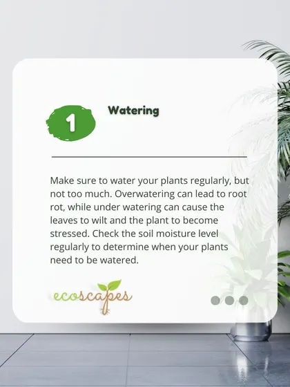 Indoor Tip 1: Watering. Proper watering is crucial. Overwatering leads to root rot, while underwatering causes stress. Always check the soil moisture before adding more water.