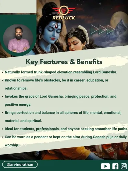 This image details the key features of the Ganesh Rudraksha. It is known to remove obstacles in career and education, bring perfection to all spheres of life, and is ideal for students and professionals seeking a smoother life path.