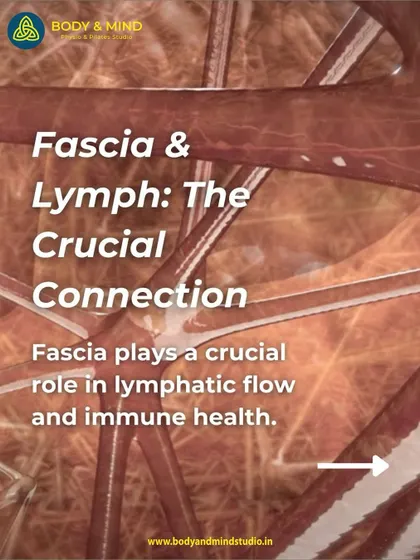 This image emphasizes the crucial connection between fascia and lymph. Fascia plays a vital role in lymphatic flow and immune health, which is why I incorporate fascial work into my sessions.