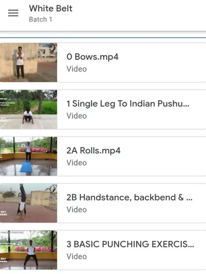 A look at the video curriculum available in our online classroom for beginners. We provide clear, step-by-step visual guides for all foundational techniques in our martial arts program.