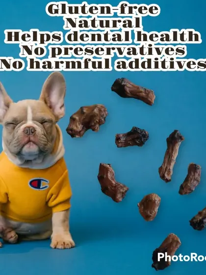 This French Bulldog knows a good treat when he sees one. My dehydrated snacks are a safe and healthy option for all dog breeds.