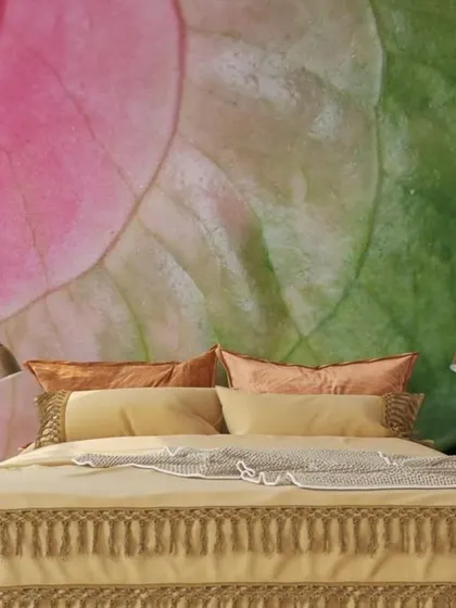 A macro photograph of a pink and green leaf turned into a stunning, abstract wall mural behind a bed.
