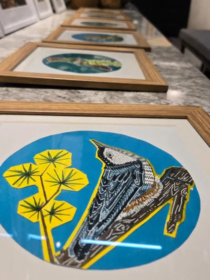A close-up of framed pen-and-ink bird illustrations from Puja Kumari's "Vibing with Nature" collection, highlighting the intricate details and conservation theme.