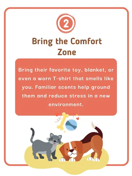 This is the second tip in my series on making vet visits less stressful: bring a comfort item. A favorite toy, blanket, or even a t-shirt that smells like you can help ground your pet in a new environment.