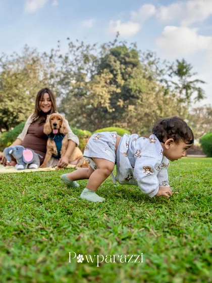 A candid shot of a toddler on the move, crawling away from his mom and their dog during an outdoor shoot.