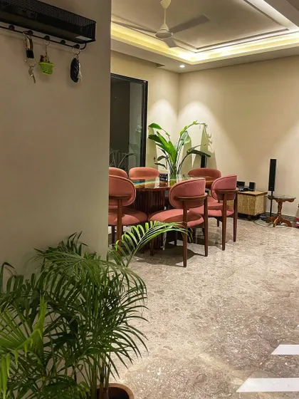 A glimpse of the dining area, with a Bird of Paradise in the background and an Areca Palm in the foreground. Plants help to define different zones within an open-plan living space.