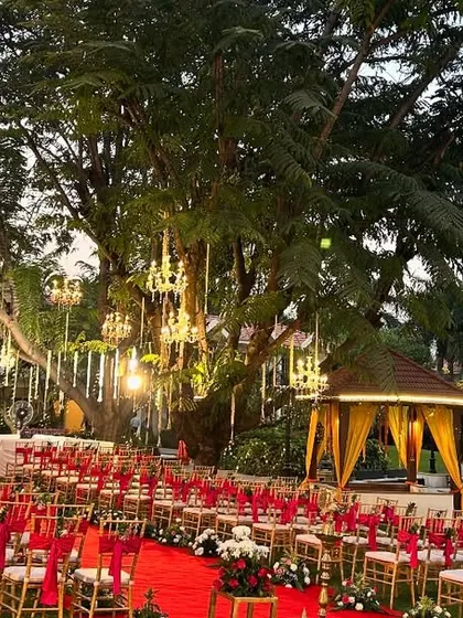 This photo captures the full ambiance of an evening wedding we decorated. The guest seating with red accents leads to a brightly lit mandap, while chandeliers hanging from the large tree add a magical glow to the entire resort venue.