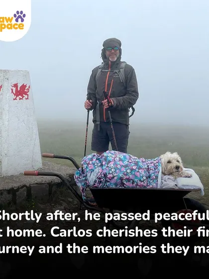 The final chapter of Monty's journey reminds us of the importance of love and companionship until the very end.