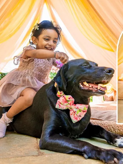 A collage showing a little girl playfully riding her black lab, capturing pure, uninhibited joy.