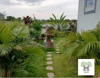 A beautiful view of a lakeside garden. I use a mix of palms and other tropical plants to create a lush, natural landscape.