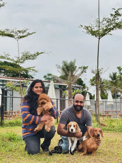 A beautiful family photo with their three dogs, a poodle, a beagle, and a dachshund. We love seeing the whole pack together.