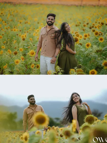 A two-part collage showing both a playful and a romantic pose from a pre-wedding shoot in a sunflower field.