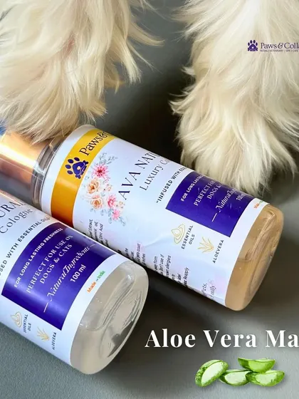The magic of our cologne lies in its ingredients, especially the soothing aloe vera. This image highlights the "Aloe Vera Magic" that nourishes your pet's skin and coat with every spray.