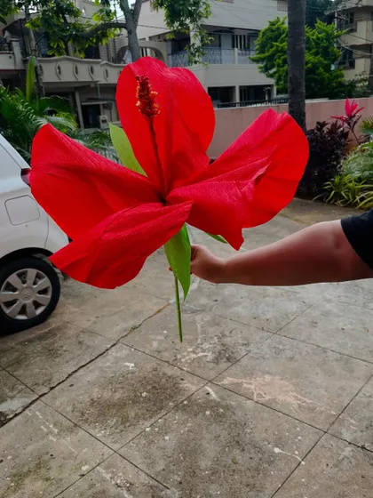 The scale of this handcrafted paper hibiscus makes it such a versatile decor piece. It can be used to create a stunning floral backdrop for a wedding or add a pop of color to a themed party.