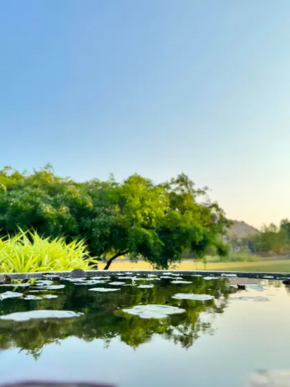 A final, peaceful image of the pond, reflecting the clear sky. These quiet, natural scenes are the backdrop to your healing journey with us.