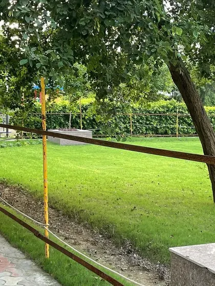 A simple, low-maintenance railing provides safety along the edge of the lawn. My designs for public spaces always prioritize both aesthetics and practical, safety-conscious features.