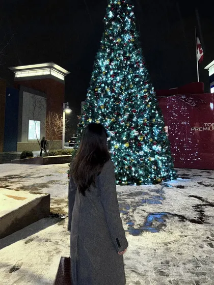 Looking up at the magical Christmas tree, a perfect winter night scene.