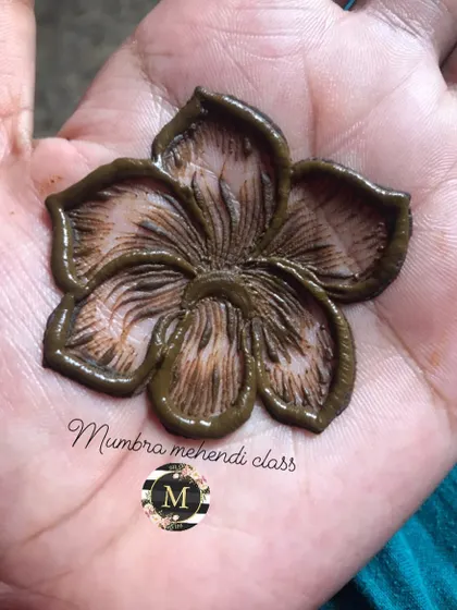 A close-up of the hibiscus flower, showing the shading and line work.