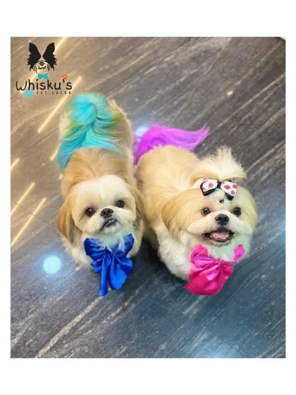 A duplicate image of the colorful duo, Olem and Gadin.
