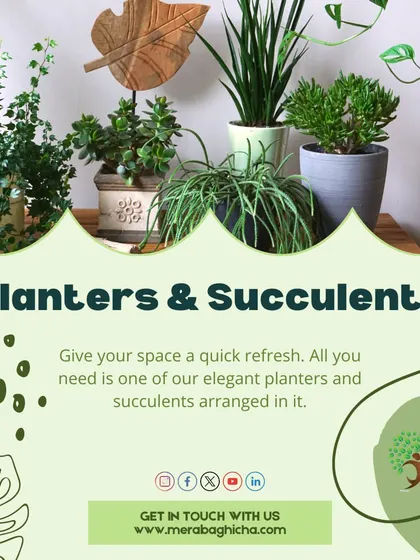 Give your space a quick refresh with our elegant planters and succulents. We have a huge variety to choose from, so you can find the perfect combination for your style.