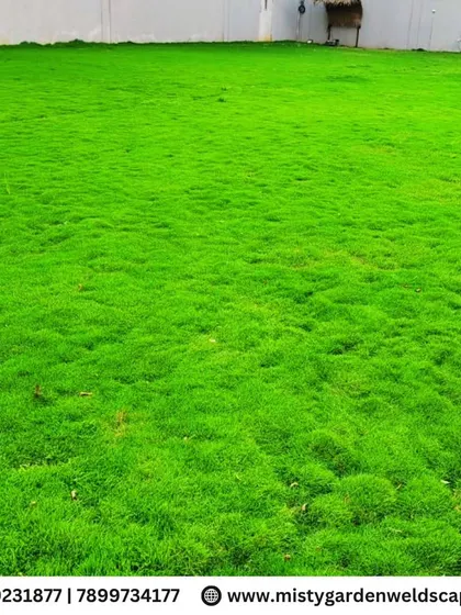 The result of our work: a perfect, dense, and vibrant green carpet of natural Mexican grass. This is the quality and finish we strive for in every lawn installation.