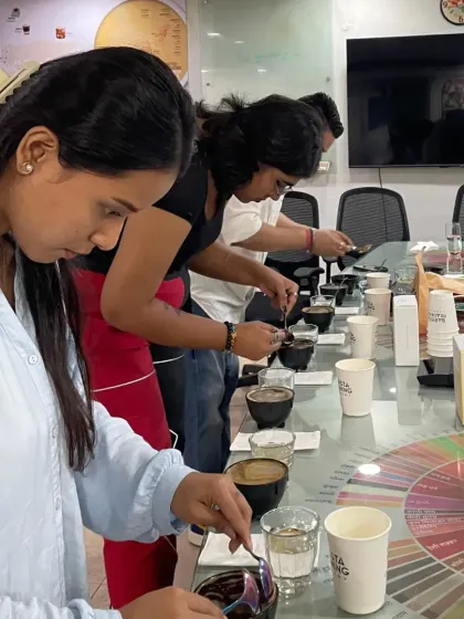 Students engaged in a coffee cupping session, learning to identify and describe different flavor notes. This sensory training is vital for developing a professional palate.