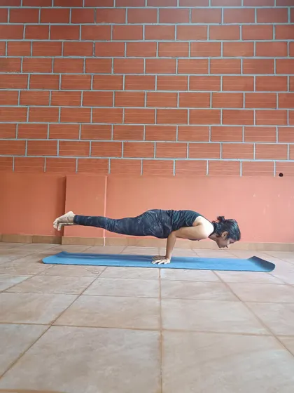 Dear body, I'm grateful for you. A moment of appreciation while holding Mayurasana (Peacock Pose).