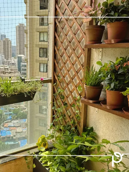 A traditional balcony makeover using terracotta pots and wooden shelving. This approach creates a warm, earthy feel and provides ample space for a variety of plants, including climbers on a wooden trellis.