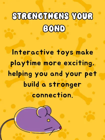 Playtime is one of the best ways to build a stronger connection with your pet. Using interactive toys makes these moments more exciting and helps strengthen the trust and bond you share.